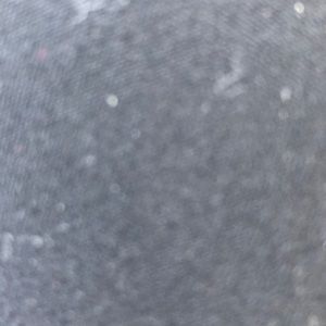 Meet your Posher, Gloria